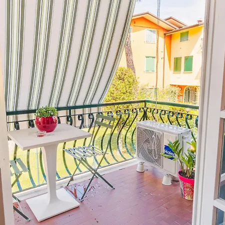 - Italian Homing *